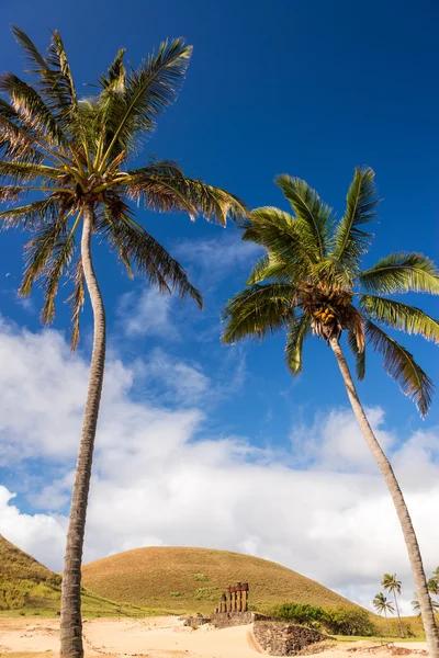 Palmiye ağaçları ve Moai — Stok fotoğraf