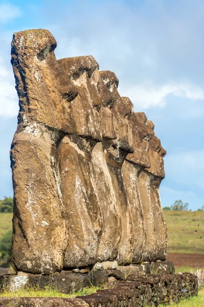 Siete Moai en Isla de Pascua — Foto de Stock
