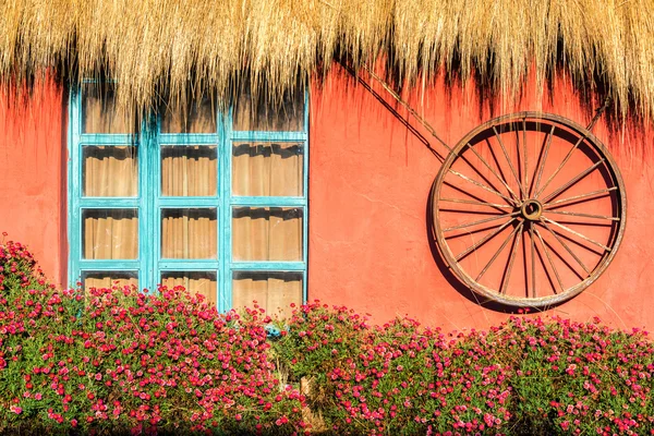 Pared roja y flores — Foto de Stock