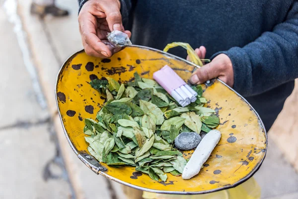 Folhas de coca em Potosi — Fotografia de Stock