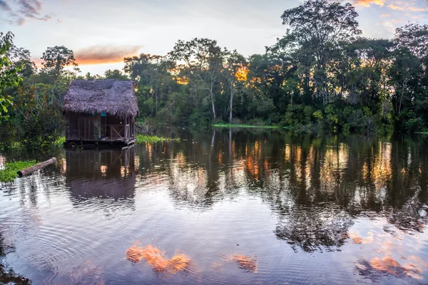 Selva Amazónica al atardecer — Foto de Stock