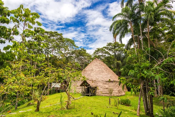 Lodge nella giungla — Foto Stock