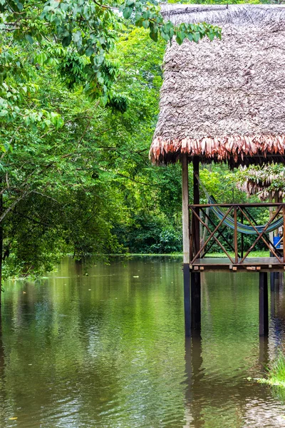 Varanda na selva — Fotografia de Stock