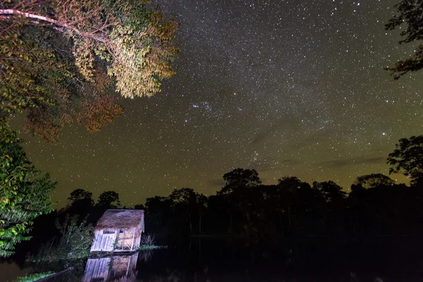 Stelle amazzoniche — Foto Stock