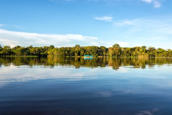 Reflection in the Amazon