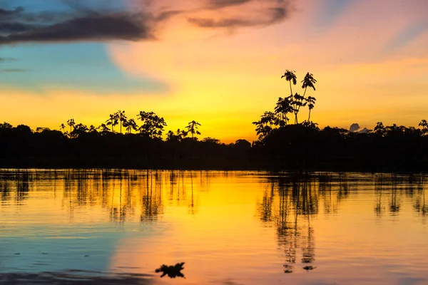 Pôr-do-sol amazónico colorido — Fotografia de Stock