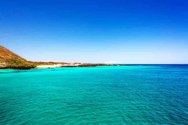 갈라파고스 군도에서 청록색 물 — 스톡 사진