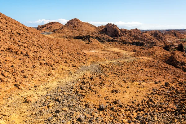 Landscape Galapagos Barren — Stok Foto