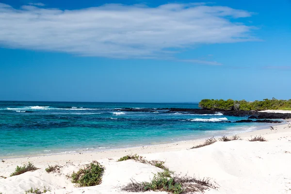 Galapagos Beach — Stock Photo, Image