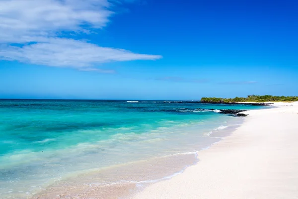 Vit tropisk strand — Stockfoto