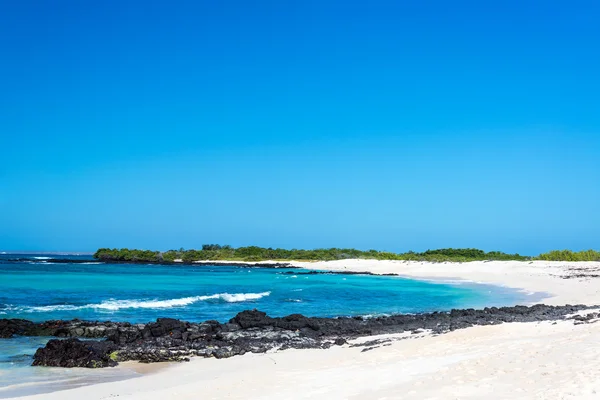Playa de arena blanca de Galápagos —  Fotos de Stock
