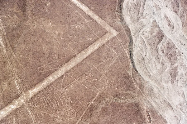 Velryba Nazca Lines — Stock fotografie