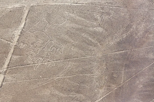 Nazca Lines chobotnice — Stock fotografie