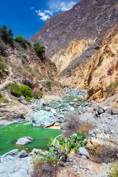 Green River v Colca Canyon — Stock fotografie