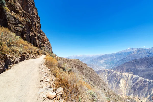 Colca Canyon Trail — Stockfoto
