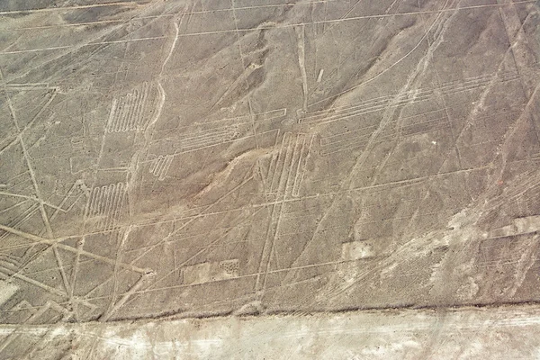 Nazca Lines Geoglyphs — Stock Photo, Image