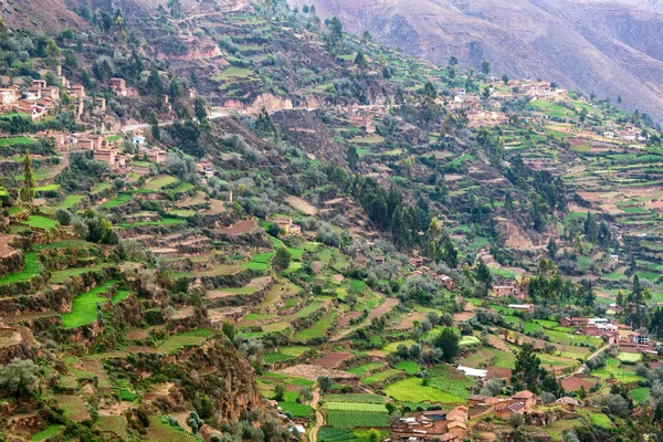 Landbouw terrassen in Peru — Stockfoto