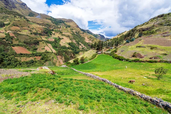 Peruaanse landschapsmening — Stockfoto