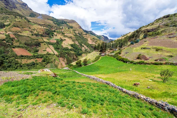 Peruánský šířku zobrazení — Stock fotografie