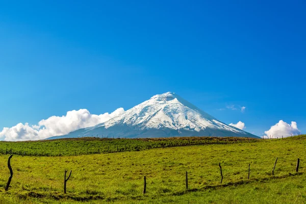 Snow Capped Cotopaxi Volcano — Stock Photo, Image