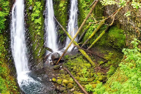 Triple Falls View in Oregon — Stock Photo, Image