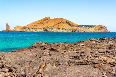 Galapagos Islands Landscape clipart