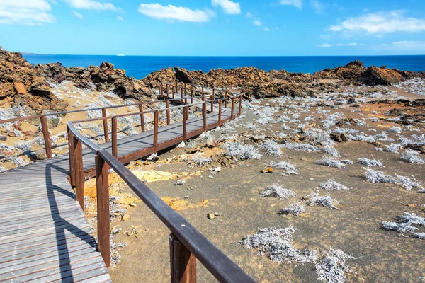 Galapagos eilanden promenade — Stockfoto