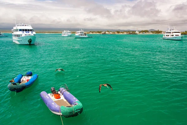 Botes y Pelícanos en Galápagos — Foto de Stock