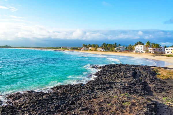 Strand auf der Insel Isabela in Galapagos — Stockfoto