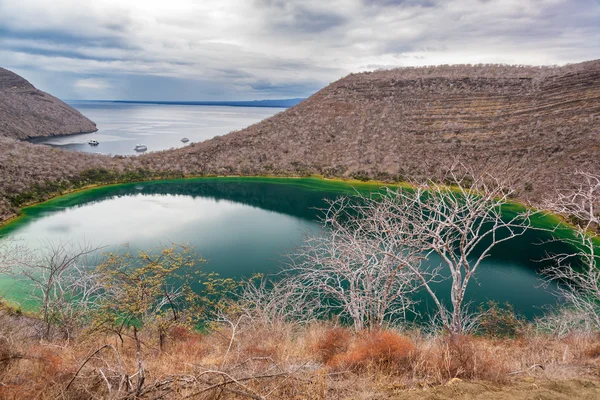 Brackish Lagoon in Galapagos — Stok fotoğraf