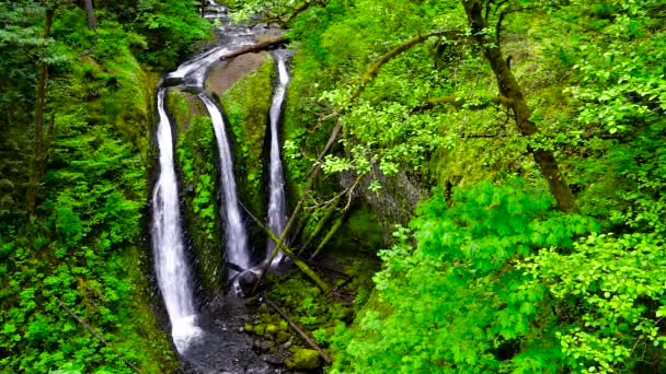 Hármas vízesés Oregonban — Stock videók