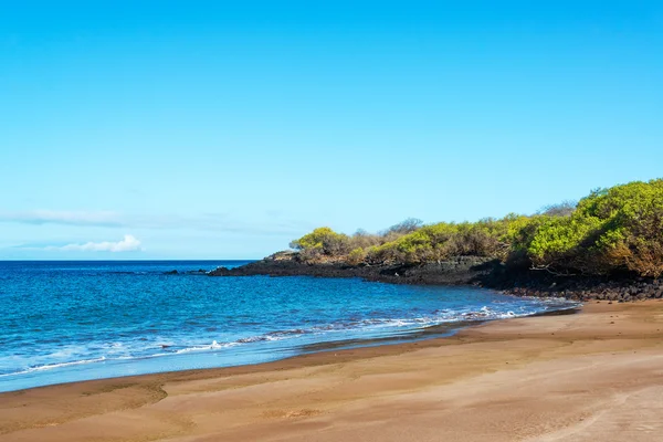 Praia nas galápagos — Fotografia de Stock