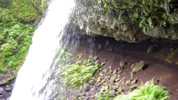 Woman under Horsetail Falls — Stockvideo