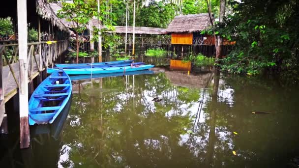 独木舟和丛林小屋 — 图库视频影像
