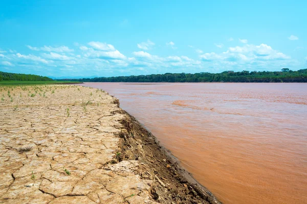 Orilla del río Beni — Foto de Stock