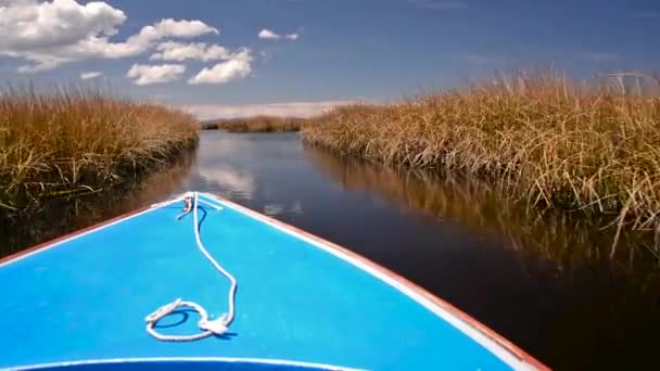 Boot passeren van riet — Stockvideo