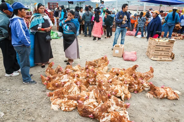 Hühner auf dem Markt — Stockfoto