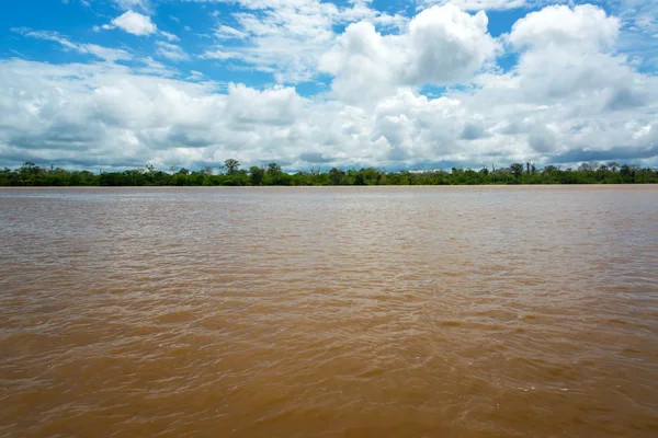 Vista al río Amazonas — Foto de Stock