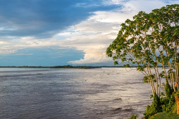 Amazon River View — Stock Photo, Image