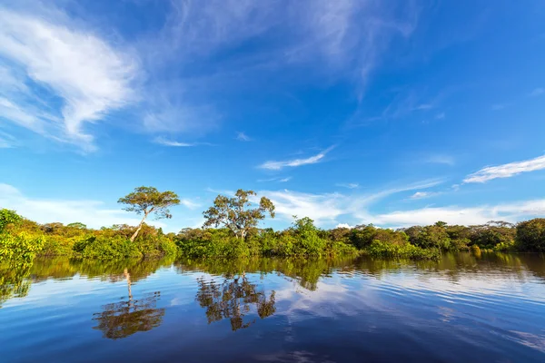 Αντανακλάσεις ζούγκλα του Αμαζονίου — Φωτογραφία Αρχείου
