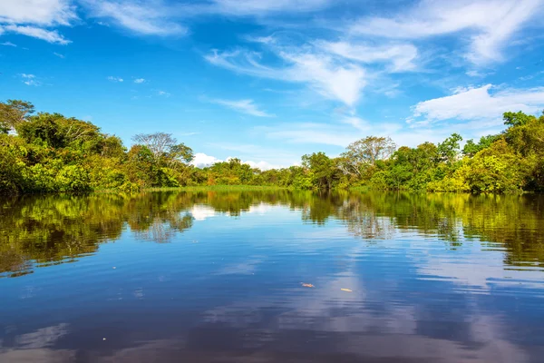 Wunderschöne amazonische Spiegelung — Stockfoto