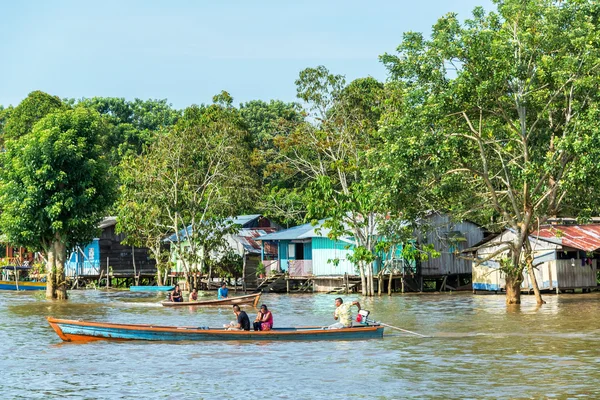 La vida en el río Amazonas — Foto de Stock