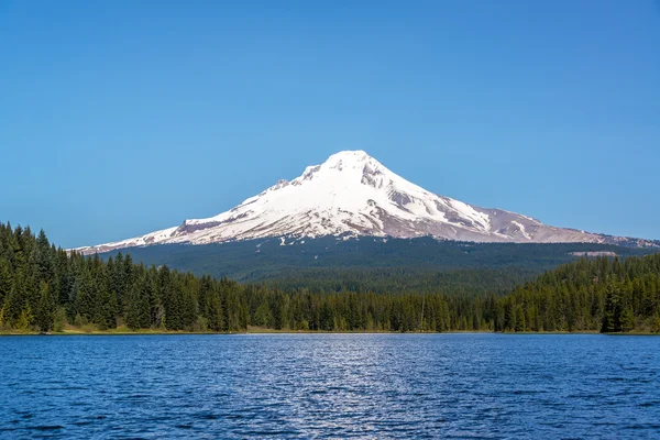 Beautiful Mt. Hood and Trillium Lake — Stock Photo, Image