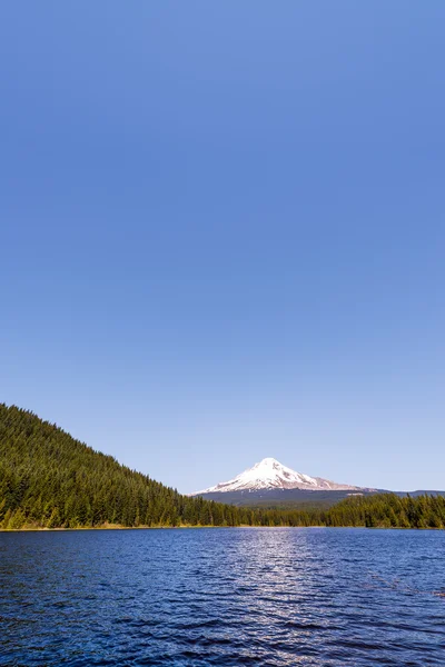 Mt. Hood i Trillium jezioro pionowe — Zdjęcie stockowe