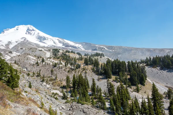Mt Hood Peak View — Stock Photo, Image