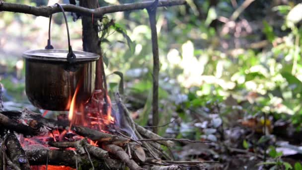 Bir kamp ateşi üzerinde pişirme — Stok video