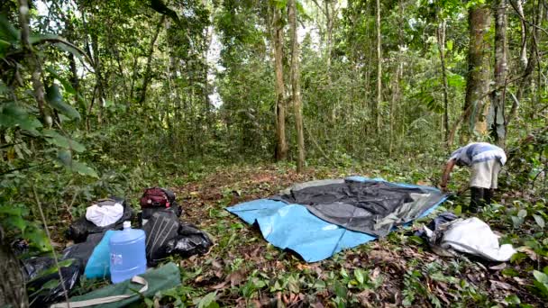 ジャングルの中でテントを設定します。 — ストック動画