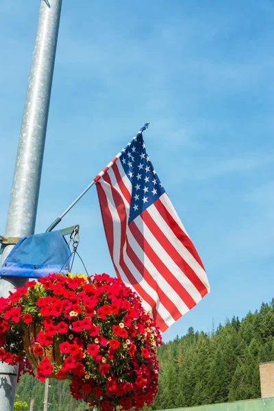 Американський прапор і квіти — стокове фото