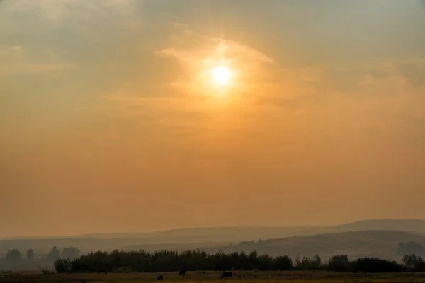 A Hazy Sunrise — Stock Photo, Image