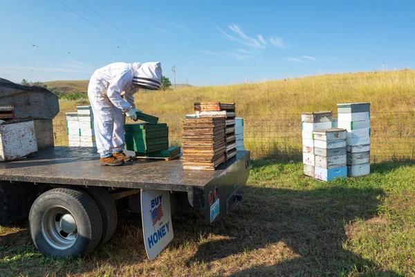 養蜂家の仕事で — ストック写真